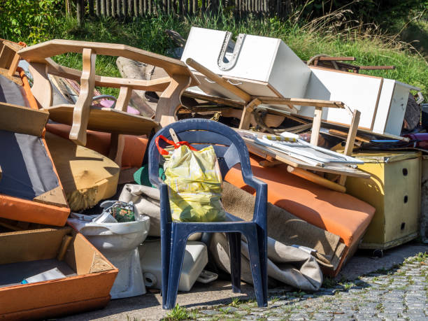 Best Electronics and E-Waste Disposal  in Rock Valley, IA